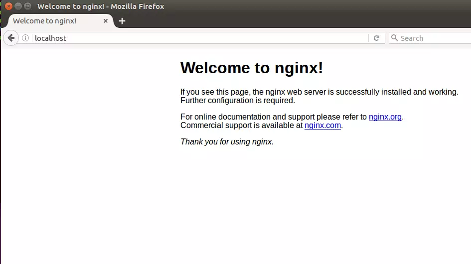 Nginx web server default test page