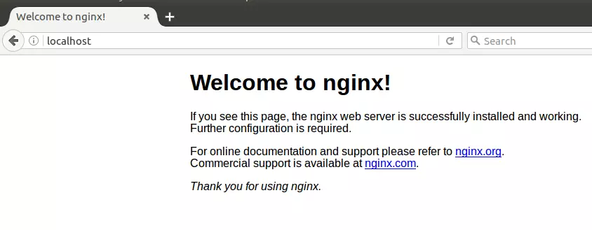 nginx default home page test