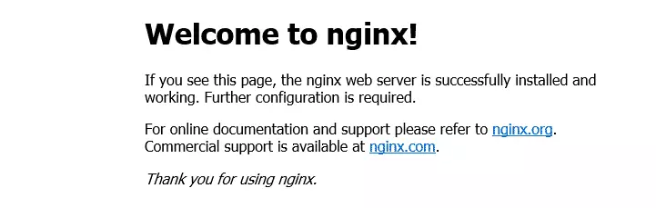Nginx Ubuntu install
