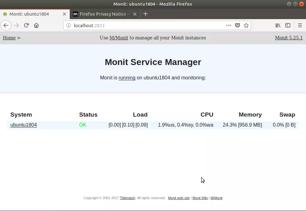 Monit Ubuntu Install