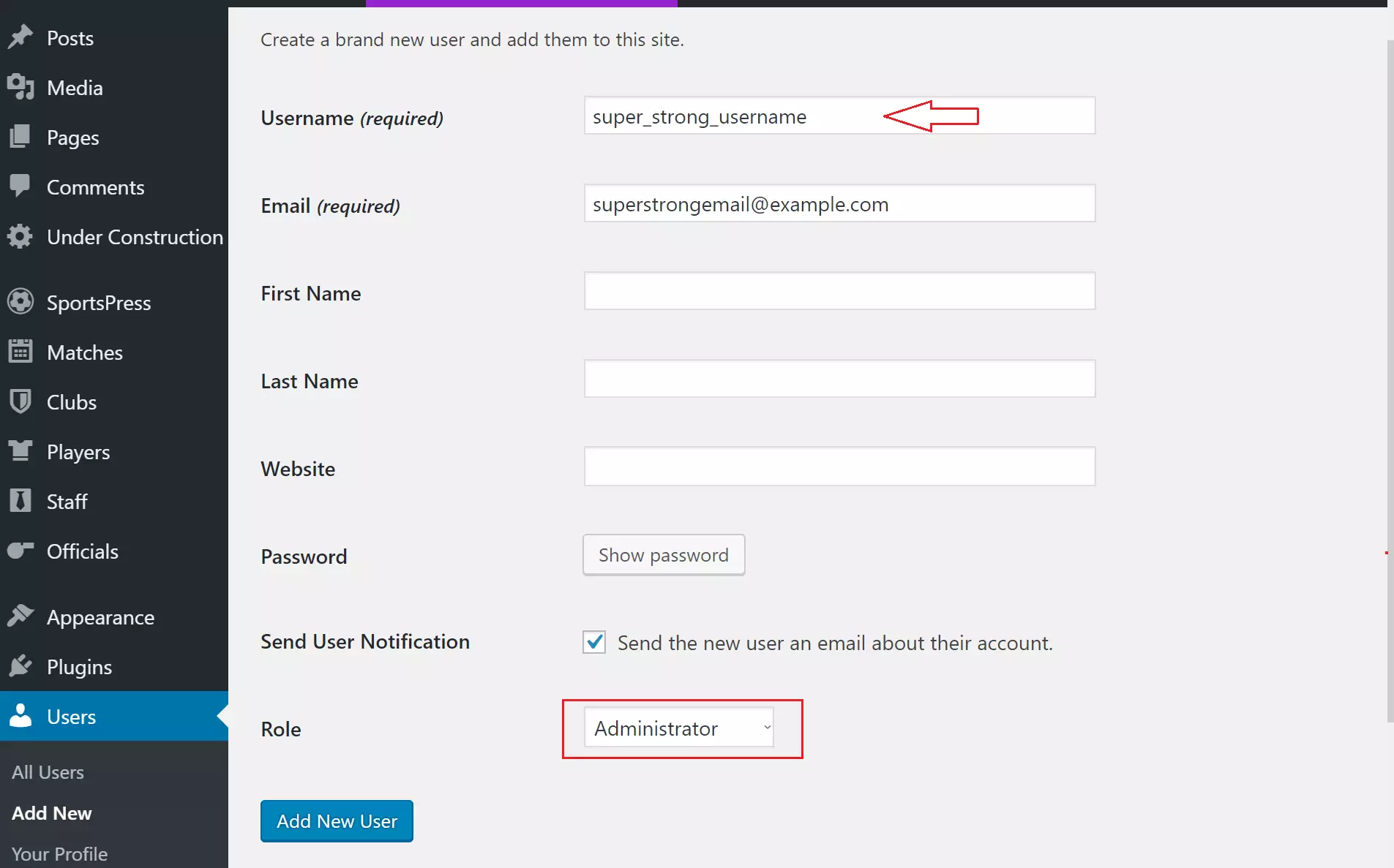 WordPress remove username