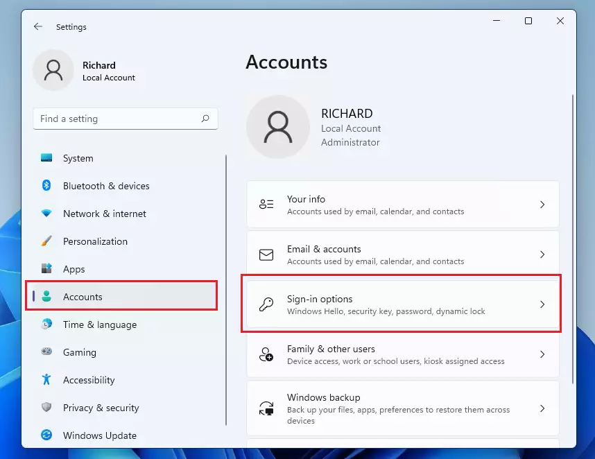 windows 11 accounts sign in options