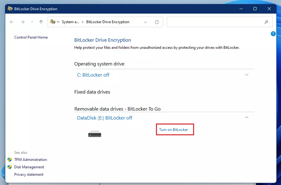 How to Encrypt Thumb Drives with Password in Windows 11 - Geek Rewind