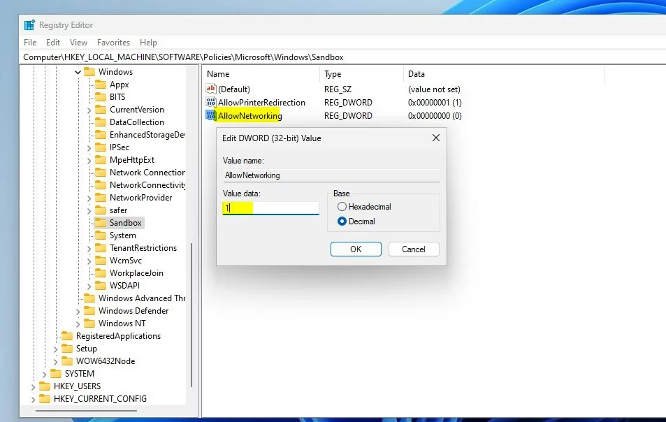 windows 11 allow networking to sandbox registry editor