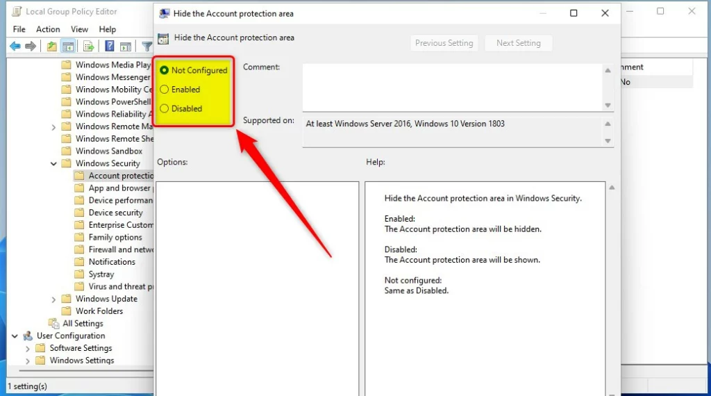 windows 11 group policy hide the account protection area settings options