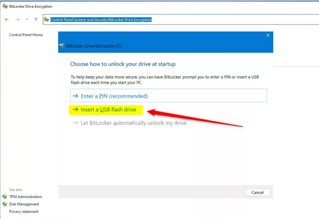 choose how to unlock your drive at startup insert usb drive windows 11