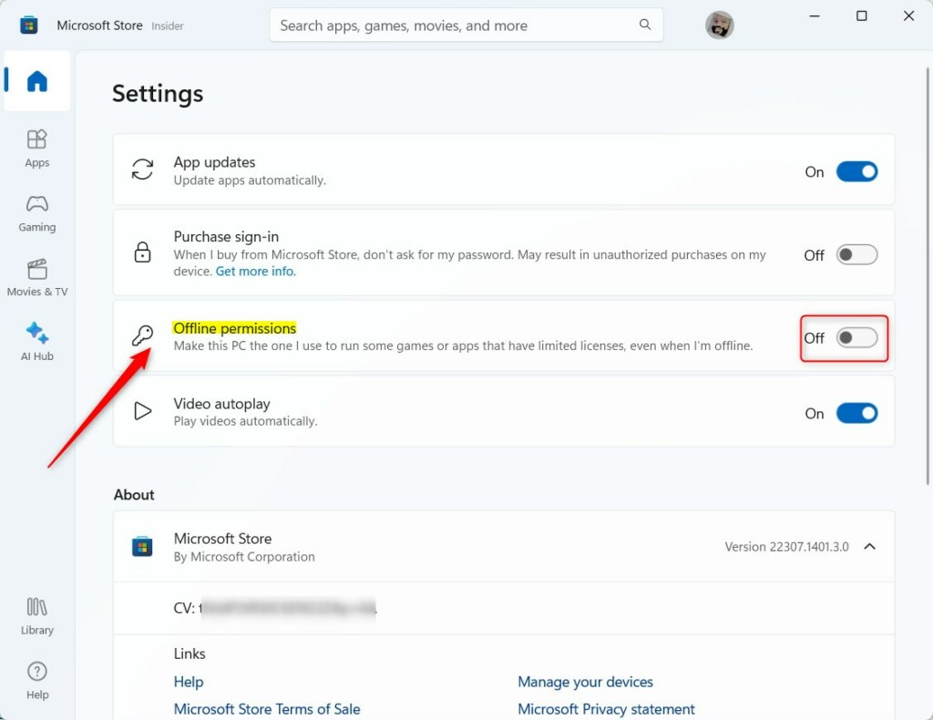 Windows 11 Microsoft Store offline permissions