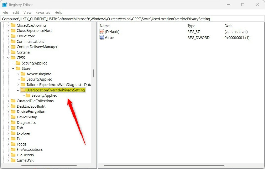 Windows 11 allow location override on or off
