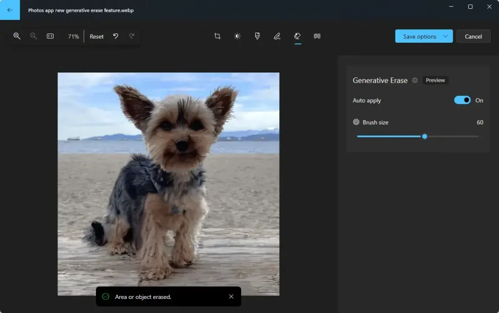 edit photo in the Photos app using generative erase object erased