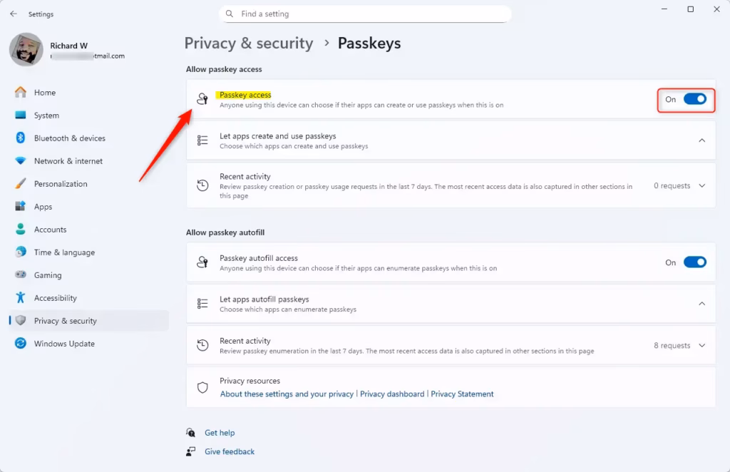Passkeys in privacy settings on