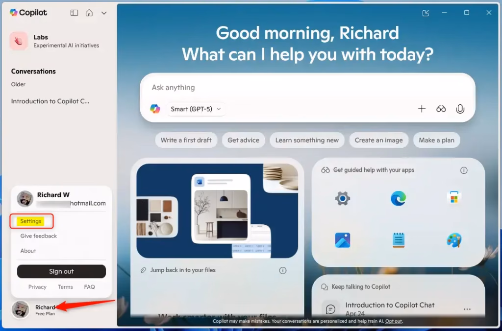 New Copilot settings