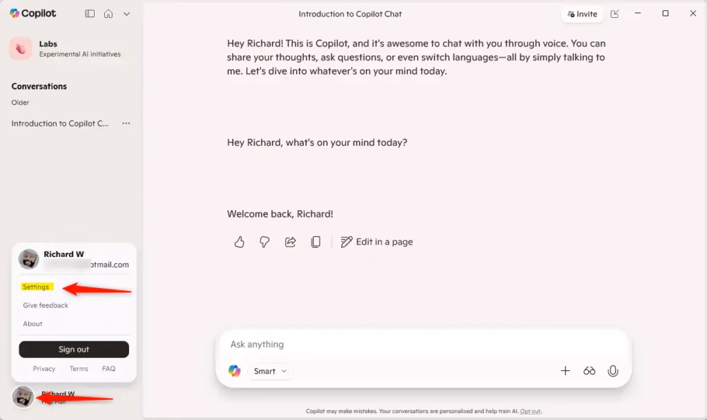 Copilot settings button