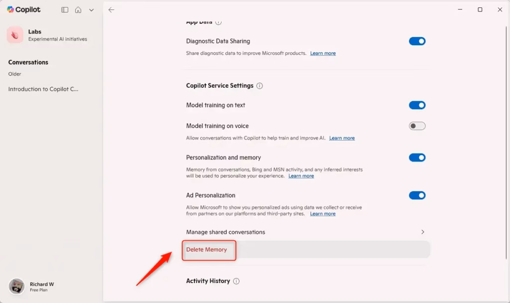 Delete Copilot memory