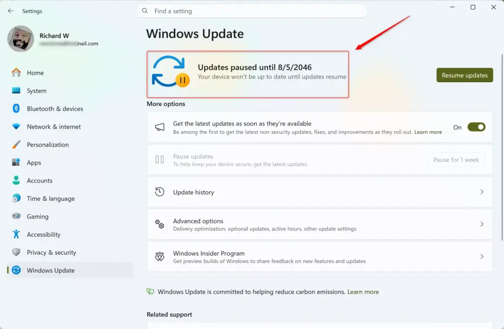 Display settings showing paused Windows 11 updates.