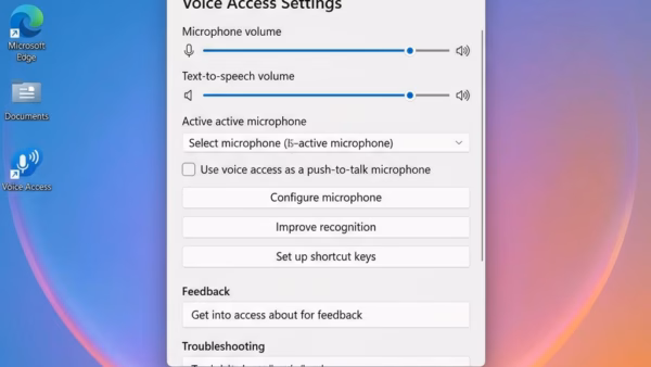 How to Change Voice Access Filtering Options in Windows 11