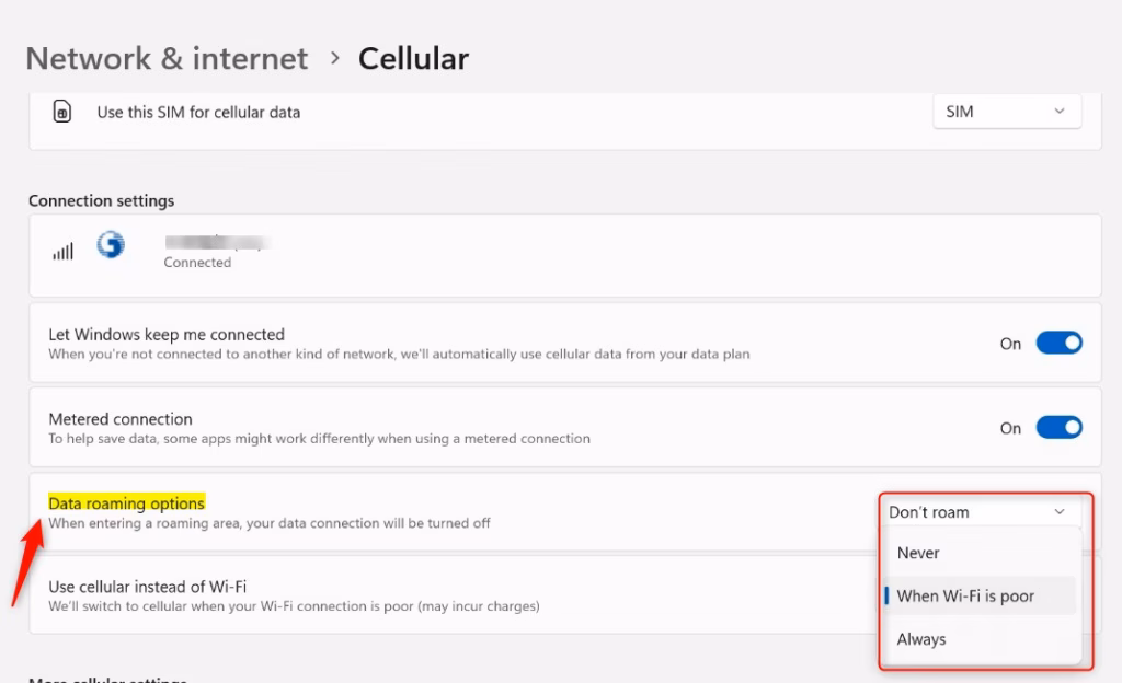 Windows 11 cellular data roaming options screen for connection control.