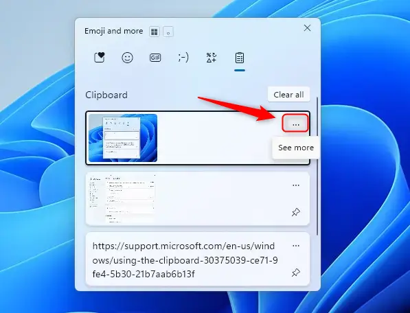 Windows 11 clipboard history showing more options.