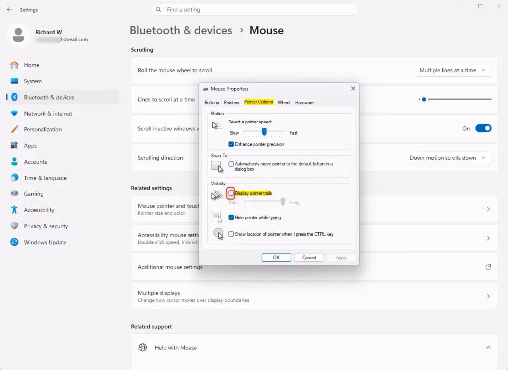 Enable mouse pointer trails checkbox in Windows 11 settings.