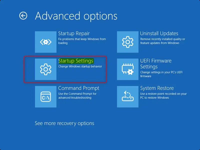 Windows Recovery Environment (WinRE) Startup Settings screen.