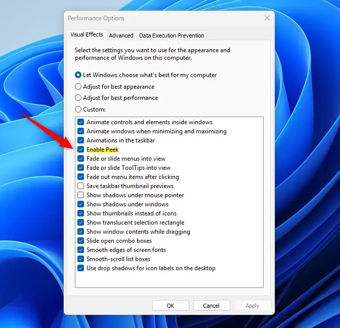 Enable Peek setting in Windows 11 system performance options