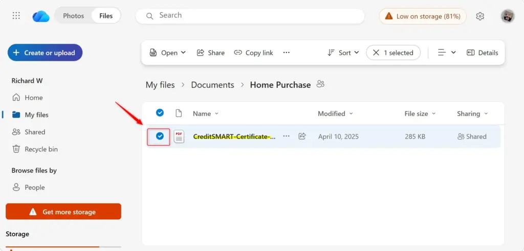 Select a file in OneDrive to view its details pane.