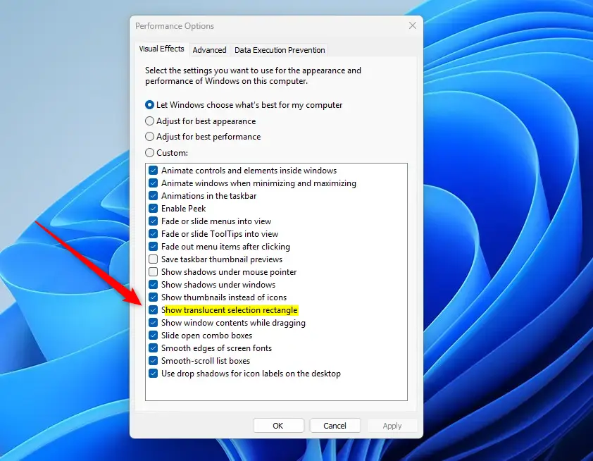 Windows 11 Performance Options showing translucent selection rectangle setting.