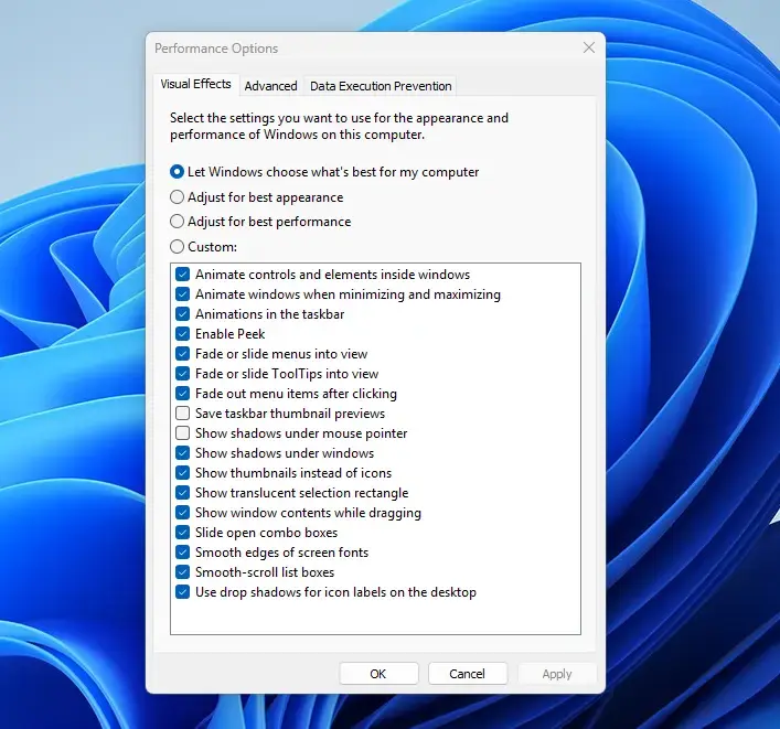Performance Options