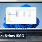 How to Set the BlockNtlmv1SSO Registry Value in Windows 11
