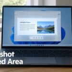 Take a Screenshot of a Selected Area in Windows 11